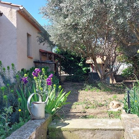 Villa 80 M2 Jardin Terrasse 3 Chambres Provence Volx Dış mekan fotoğraf